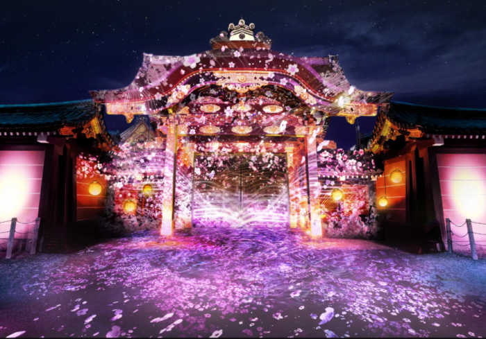 NAKED FLOWERS 2023 桜 世界遺産・二条城