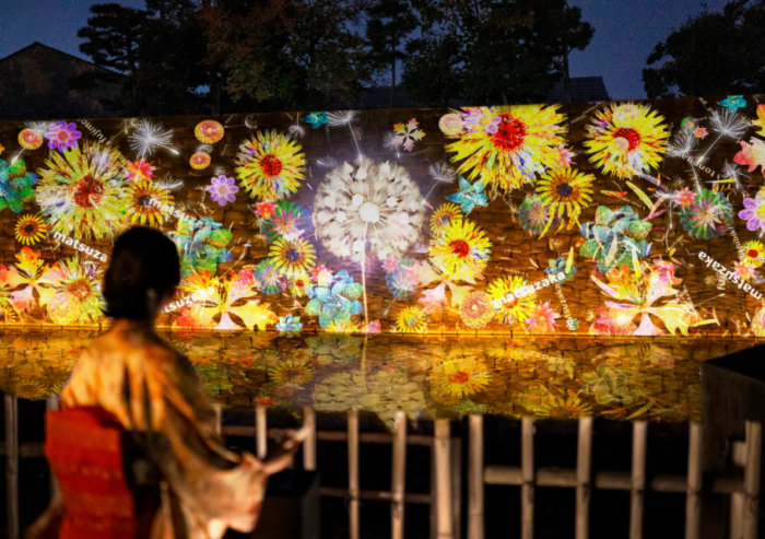 NAKED FLOWERS 2023 桜 世界遺産・二条城