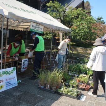 梅小路公園　グリーンフェア2023春