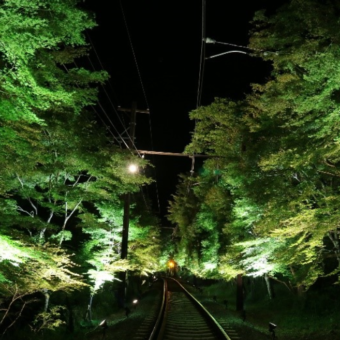 叡山電車　新緑のライトアップ特別列車
