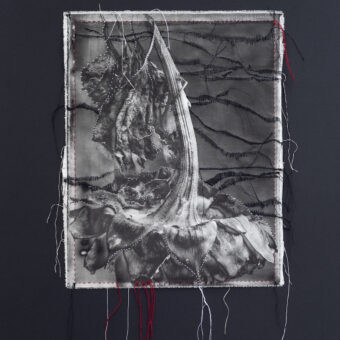 Gallery G-77 アンナ・ハヤトとスラヴァ・ピルスキー 「裂け目、繋ぎ目、そして裂け目」