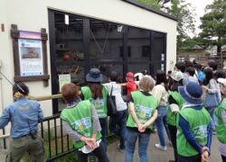 京都市動物園　（開園120周年記念）「一日動物園体験」