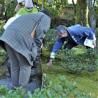 無鄰菴　モスモスな苔にさわる！→お庭で観察会。