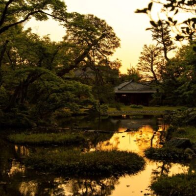 無鄰菴　蛍が舞い飛ぶ – トワイライト日本庭園の特別鑑賞