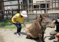 （開園120周年記念）「七夕スペシャル」【京都市動物園】