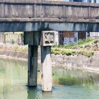 桜の時期を過ぎても楽しめる！深草を流れる【琵琶湖疏水：鴨川運河】さんぽ♪