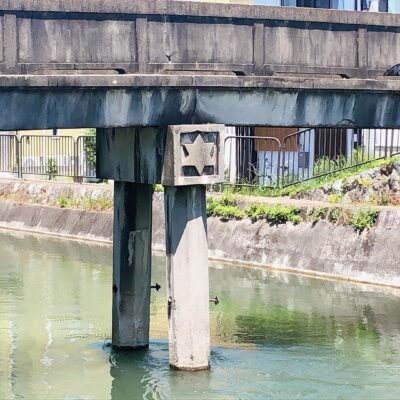 桜の時期を過ぎても楽しめる！深草を流れる【琵琶湖疏水：鴨川運河】さんぽ♪
