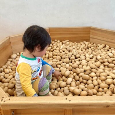 【京エコロジーセンター】伏見区・深草で人気のスポット！子どもだけの場所じゃない！パパもママも、おじいちゃんおばあちゃんも楽しめる！家族みんなでエコセンへ行こう！