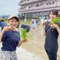 【京都市伏見区】自分で植えたお米でお酒ができる！京都酒林会さんの酒米「祝」田植え体験に参加してきました！