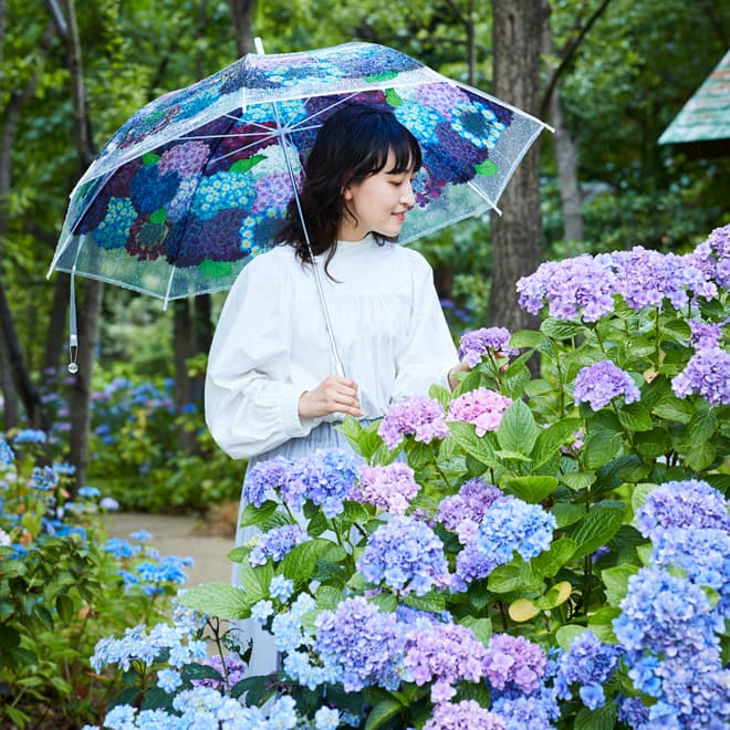 全国の“紫陽花の名所”24ヵ所とのコラボ企画。 差して美しい・撮って美しい「紫陽花の傘」を無料レンタル！