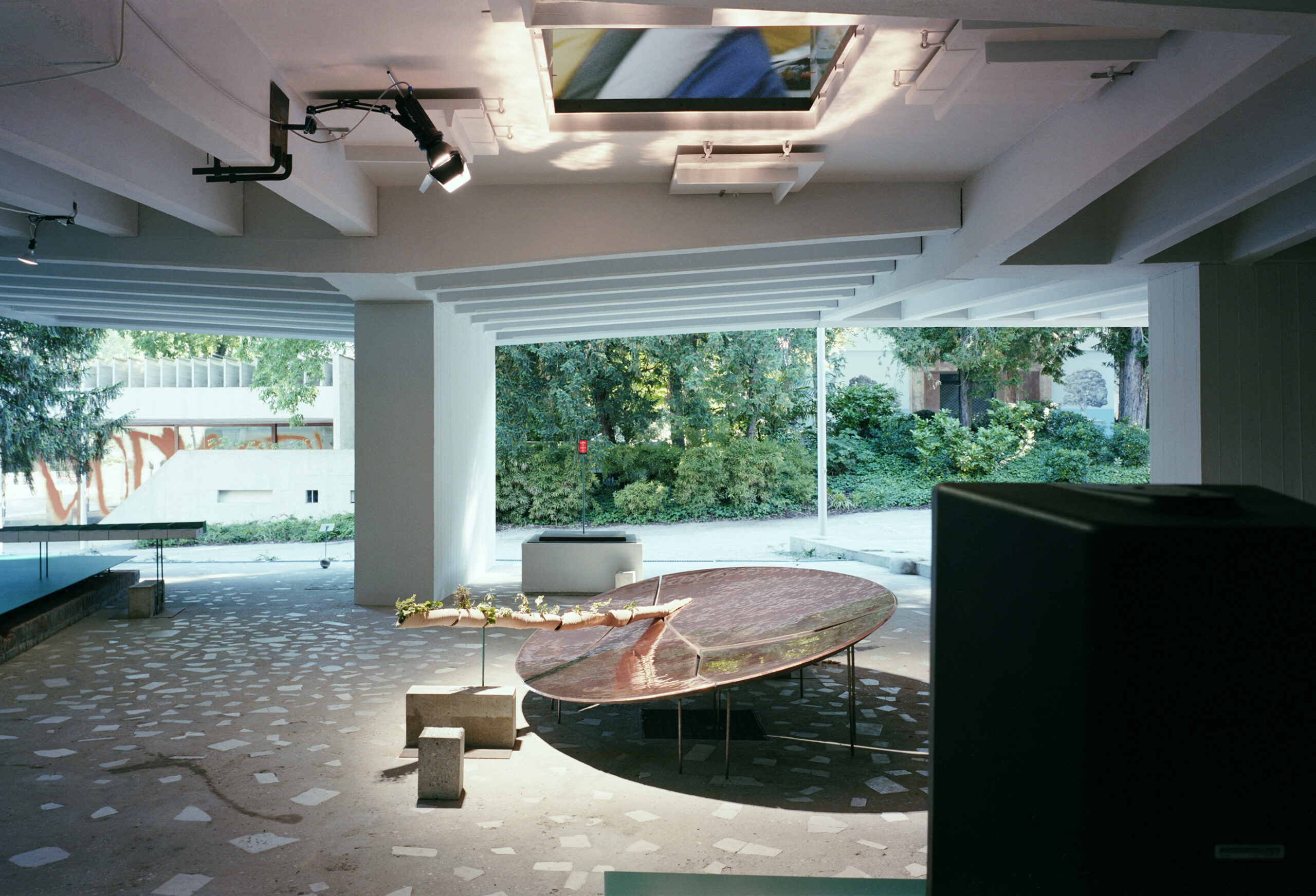 第19回ヴェネチア・ビエンナーレ国際建築展⽇本館展⽰⾵景 ©⾼野ユリカ