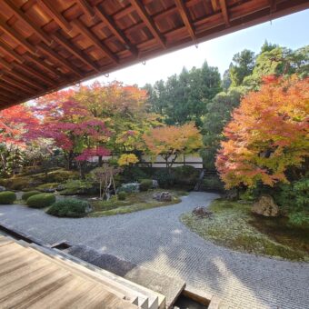 【愛でる秋の御寺泉涌寺】僧侶のご案内早朝貸切特別拝観&矢尾治朝粥付