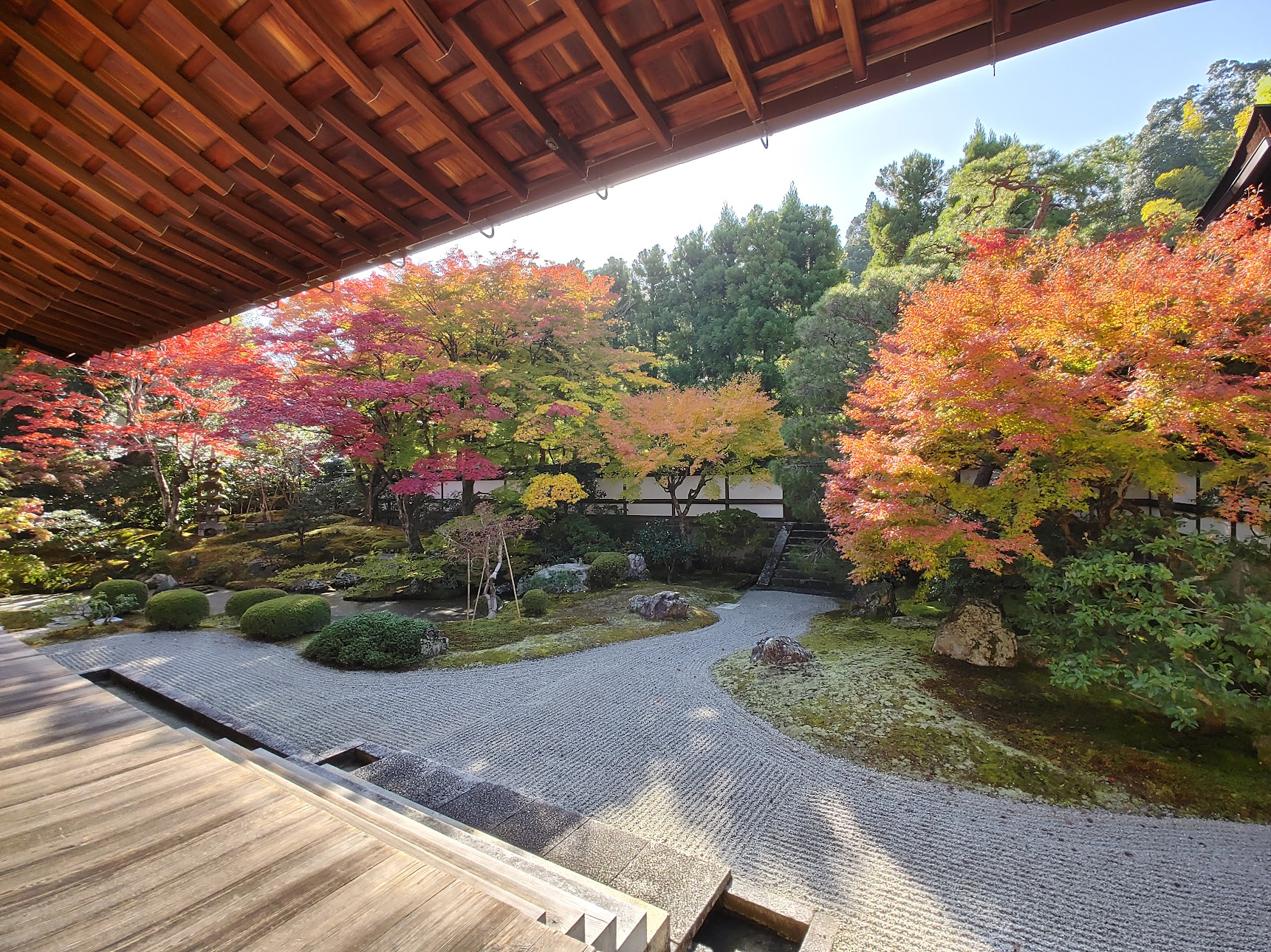 泉涌寺紅葉