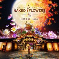 NAKED FLOWERS 2023 秋 世界遺産・二条城