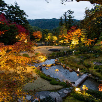 無鄰菴　秋の紅葉特別夜間公開　トワイライト庭園パーティー2023