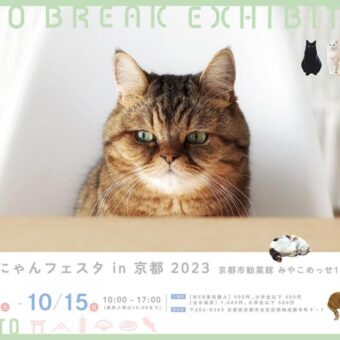 ねこ休み展 in 京都