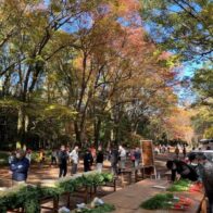 京都市左京区農産物共進会【下鴨神社】