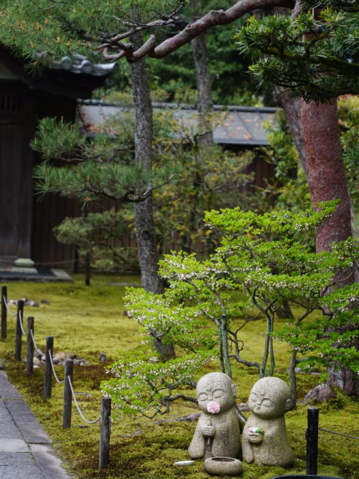妙心寺大雄院 秋の特別拝観
