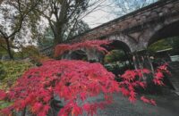 【11月23日（木・祝）】早朝の南禅寺・水路閣の紅葉は綺麗に色づいていました！