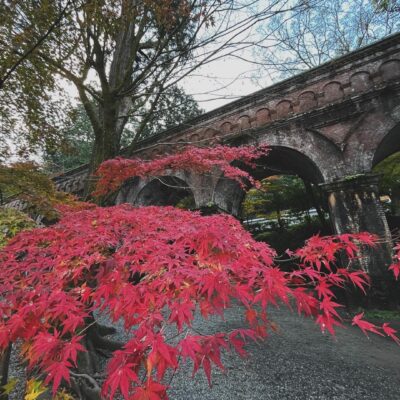 【11月23日（木・祝）】早朝の南禅寺・水路閣の紅葉は綺麗に色づいていました！