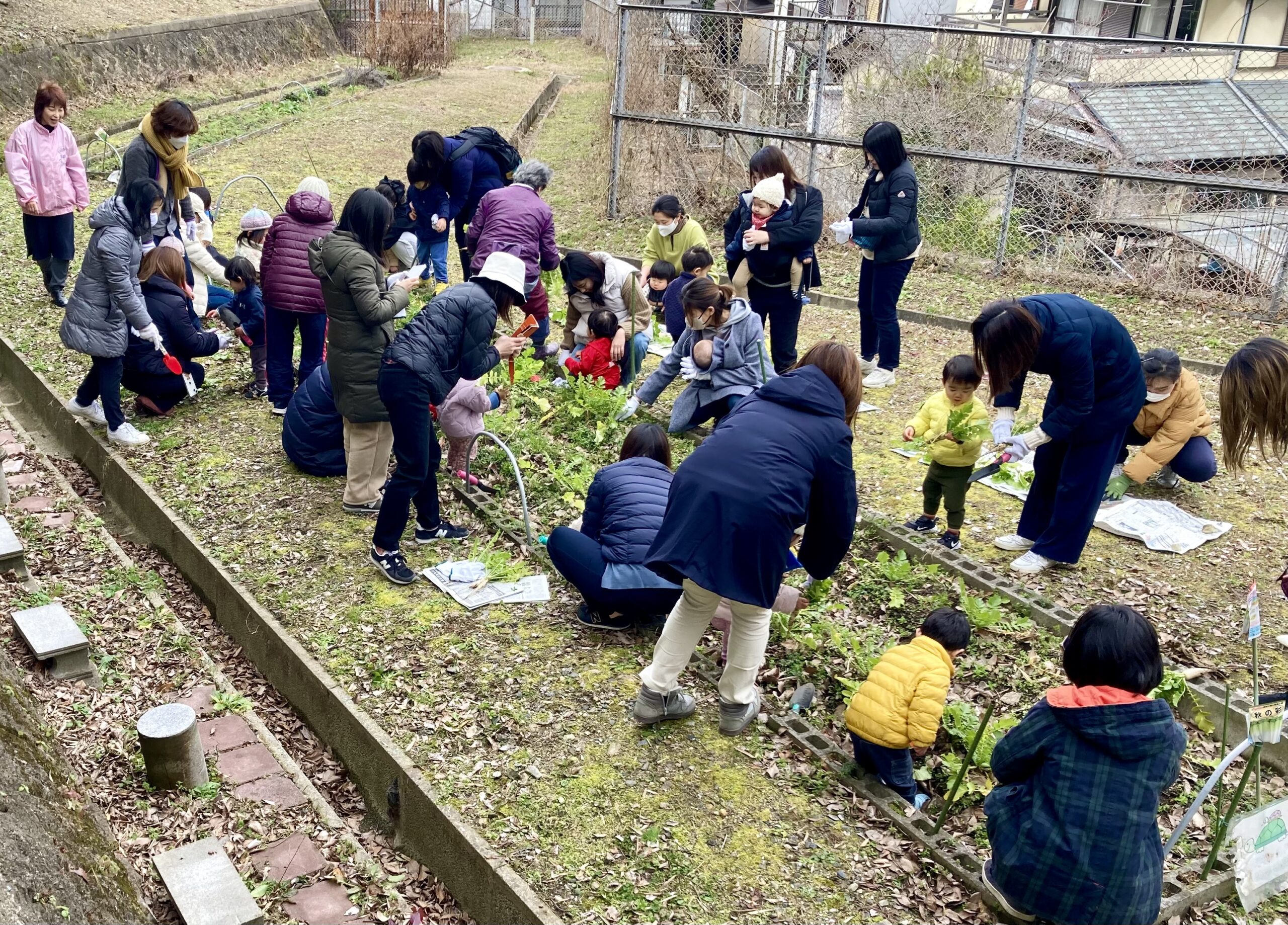 伏見区深草で野菜収穫体験までできる！！親子で楽しむならココ！子育てサロン「かめっこひろば」