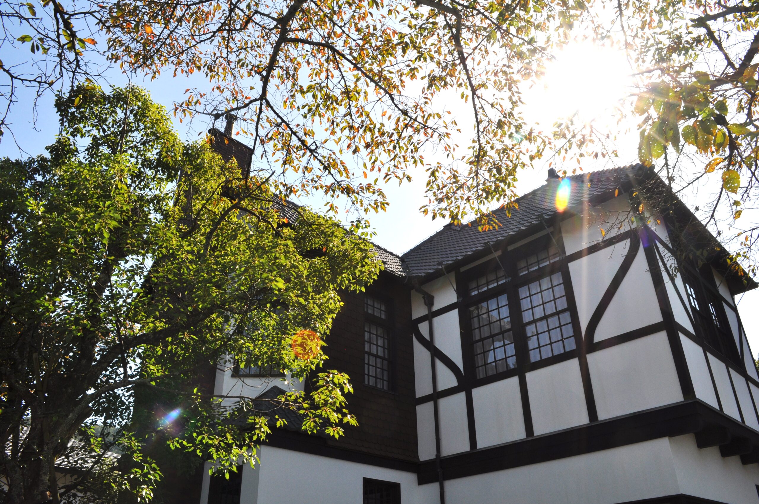 展示棟（旧田辺貞吉邸）外観