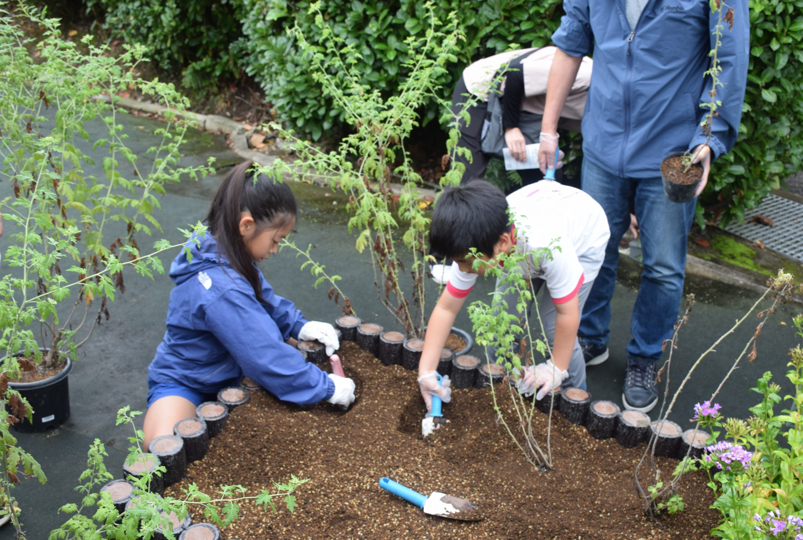 【京都薬用植物園】親子で学びたい！希少な植物と魚を守る体験型イベント＜京都市左京区＞