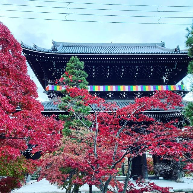 デジスタイル京都 京都のイベント 観光 グルメ お出かけスポットなどの情報満載 京都を楽しむプロ がおすすめするいろんな情報満載サイト